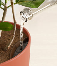 Load image into Gallery viewer, Earth Red stand:all