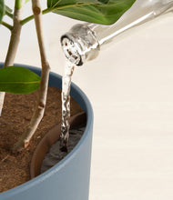 Load image into Gallery viewer, Iron Gray stand:all