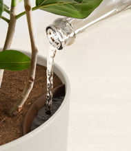 Load image into Gallery viewer, Natural Bamboo stand:all