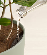 Load image into Gallery viewer, Sage Green stand:all