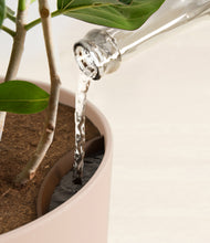 Load image into Gallery viewer, Sandy Pink stand:all