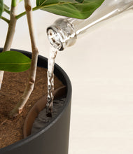 Load image into Gallery viewer, Stone Black stand:all