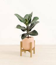 Load image into Gallery viewer, Gentle Pink stand:light