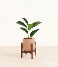 Load image into Gallery viewer, Calm Rose stand:walnut