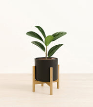 Load image into Gallery viewer, Black stand:bamboo