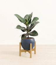 Load image into Gallery viewer, Deep Navy stand:light