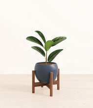 Load image into Gallery viewer, Deep Navy stand:walnut