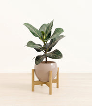 Load image into Gallery viewer, Desert Brown stand:light