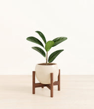 Load image into Gallery viewer, Shiny EggWhite stand:walnut