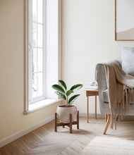 Load image into Gallery viewer, Desert Brown stand:walnut