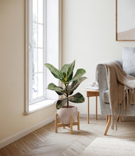 Load image into Gallery viewer, Desert Brown stand:light