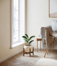 Load image into Gallery viewer, Shiny EggWhite stand:walnut