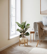 Load image into Gallery viewer, Shiny EggWhite stand:light