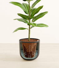 Load image into Gallery viewer, Natural Bamboo stand:all