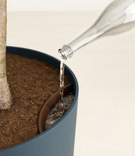 Load image into Gallery viewer, Iron Gray