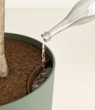 Load image into Gallery viewer, Sage Green