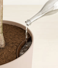 Load image into Gallery viewer, Sandy Pink