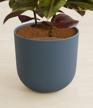 Load image into Gallery viewer, Iron Gray stand:all