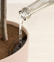 Load image into Gallery viewer, Sandy Pink stand:all