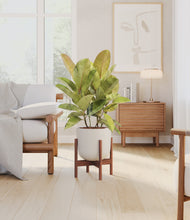 Load image into Gallery viewer, Natural Bamboo stand:walnut
