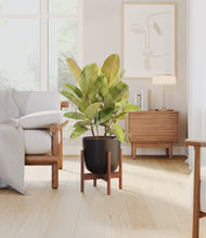 Load image into Gallery viewer, Stone Black stand:walnut