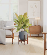 Load image into Gallery viewer, Sage Green stand:walnut