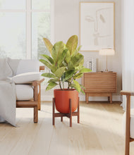 Load image into Gallery viewer, Earth Red stand:walnut