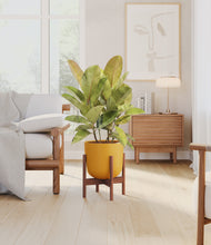 Load image into Gallery viewer, Sunset Orange stand:walnut