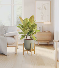Load image into Gallery viewer, Sage Green stand:bamboo