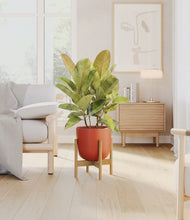 Load image into Gallery viewer, Earth Red stand:bamboo