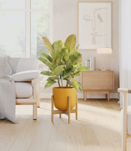 Load image into Gallery viewer, Sunset Orange stand:bamboo