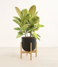 Load image into Gallery viewer, Stone Black stand:bamboo