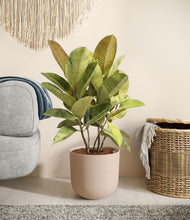 Load image into Gallery viewer, Sandy Pink stand:all