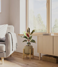 Load image into Gallery viewer, Olive stand:bamboo