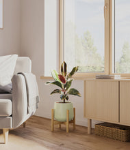 Load image into Gallery viewer, Turquoise stand:bamboo