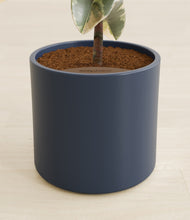 Load image into Gallery viewer, Deep Navy stand:all