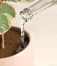 Load image into Gallery viewer, -