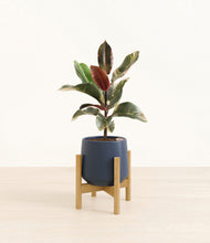 Load image into Gallery viewer, Deep Navy stand:bamboo