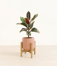 Load image into Gallery viewer, Calm Rose stand:bamboo