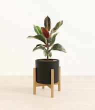 Load image into Gallery viewer, Black stand:bamboo