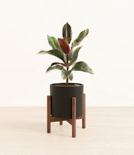 Load image into Gallery viewer, Black stand:walnut
