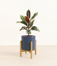 Load image into Gallery viewer, Deep Navy stand:bamboo