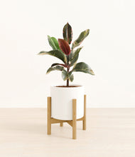 Load image into Gallery viewer, White stand:bamboo