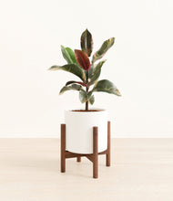 Load image into Gallery viewer, White stand:walnut