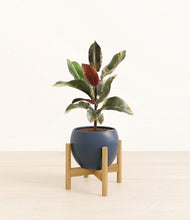 Load image into Gallery viewer, Deep Navy stand:bamboo