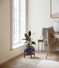 Load image into Gallery viewer, Deep Navy stand:walnut