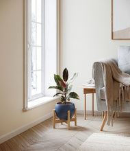 Load image into Gallery viewer, Deep Navy stand:bamboo