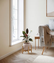 Load image into Gallery viewer, Desert Brown stand:bamboo