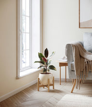 Load image into Gallery viewer, Shiny EggWhite stand:bamboo