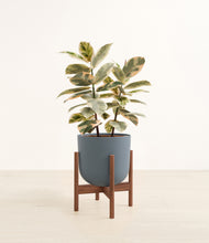 Load image into Gallery viewer, Iron Gray stand:walnut